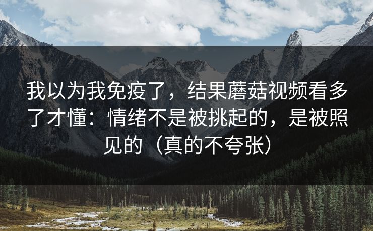 我以为我免疫了，结果蘑菇视频看多了才懂：情绪不是被挑起的，是被照见的（真的不夸张）
